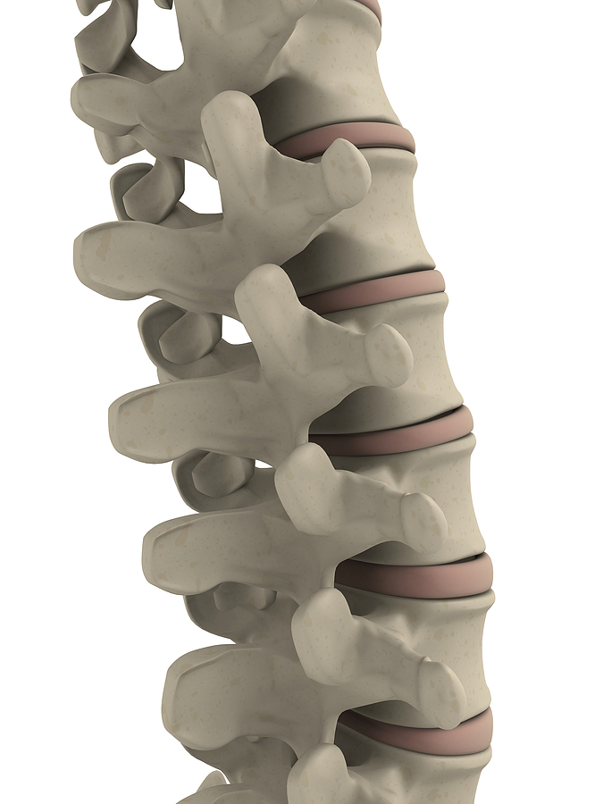 chiropractic_image_of_spine